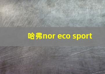 哈弗nor eco sport